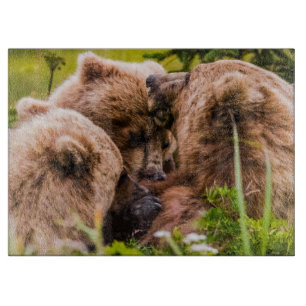 Mama beer verzorgt haar twee cubs, Lake Clark Nati Snijplank