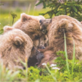 Mama beer verzorgt haar twee cubs, Lake Clark Nati Sticker (Voorkant)