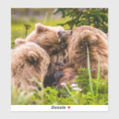 Mama beer verzorgt haar twee cubs, Lake Clark Nati Sticker (Vel)