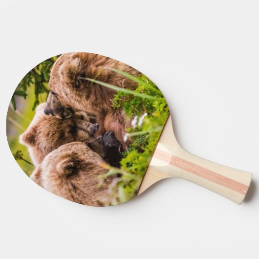 Mama beer verzorgt haar twee cubs, Lake Clark Nati Tafeltennisbatje (Zijkant)