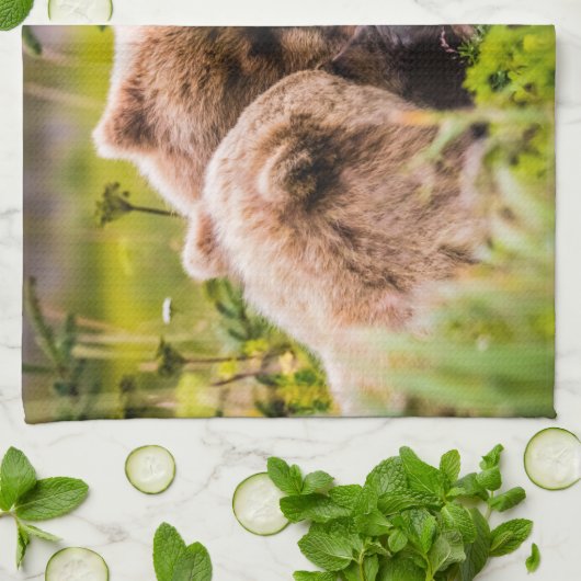 Mama beer verzorgt haar twee cubs, Lake Clark Nati Theedoek (Gevouwen)