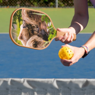 Mama beer verzorgt haar twee cubs, Lake Clark NP Pickleball Paddle