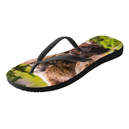 Mama beer voedt haar twee welpen, Lake Clark Natio Teenslippers (Schuin)