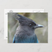 Mama Blue Briefkaart (Voorkant / Achterkant)