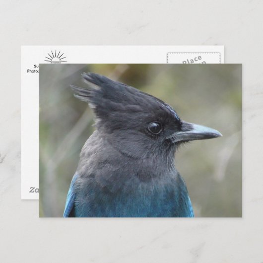 Mama Blue Briefkaart (Voorkant / Achterkant)