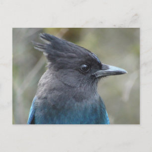 Mama Blue Briefkaart