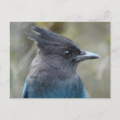 Mama Blue Briefkaart (Voorkant)