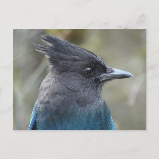 Mama Blue Briefkaart (Voorkant)