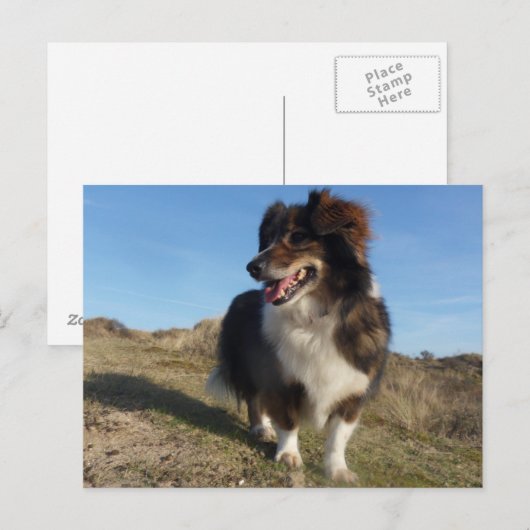 Mama Briefkaart (Voorkant / Achterkant)