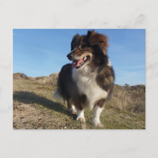 Mama Briefkaart (Voorkant)