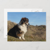 Mama Briefkaart (Voorkant / Achterkant)