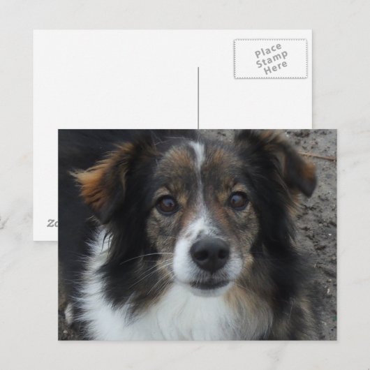 Mama Briefkaart (Voorkant / Achterkant)