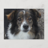 Mama Briefkaart (Voorkant)