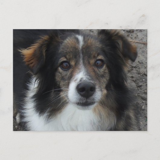 Mama Briefkaart (Voorkant)