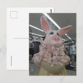 mama Bunny Briefkaart (Voorkant / Achterkant)