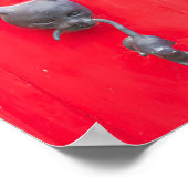 🐈 Mama Cat Knock, Knock! ❤️ Poster (Hoek)