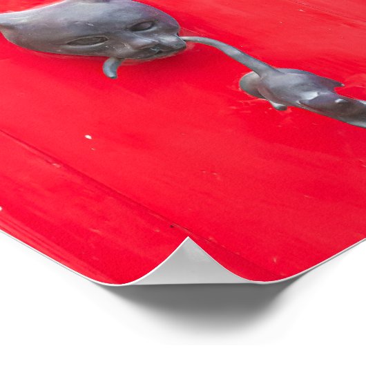 🐈 Mama Cat Knock, Knock! ❤️ Poster (Hoek)