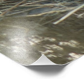 mama cavia foto afdruk (Hoek)