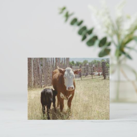 Mama Cow en Calf Briefkaart (Staand voorkant)