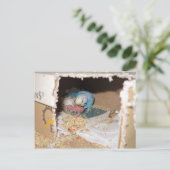 Mama Dexter en Baby Rufus Briefkaart (Staand voorkant)