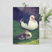 Mama eend, baby en konijnenkont. kaart (Staand voorkant)