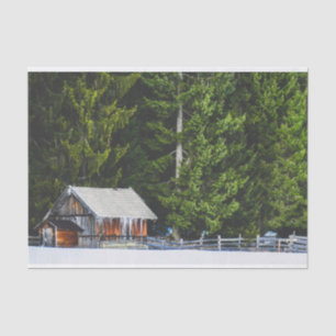 Mama en Baby Barns beschermd door Giant Trees Tissuepapier