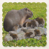 Mama en Baby Capybaras, Kartonnen Onderzetters (Voorkant)
