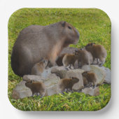 Mama en Baby Capybaras, Papieren Bordje (Voorkant)