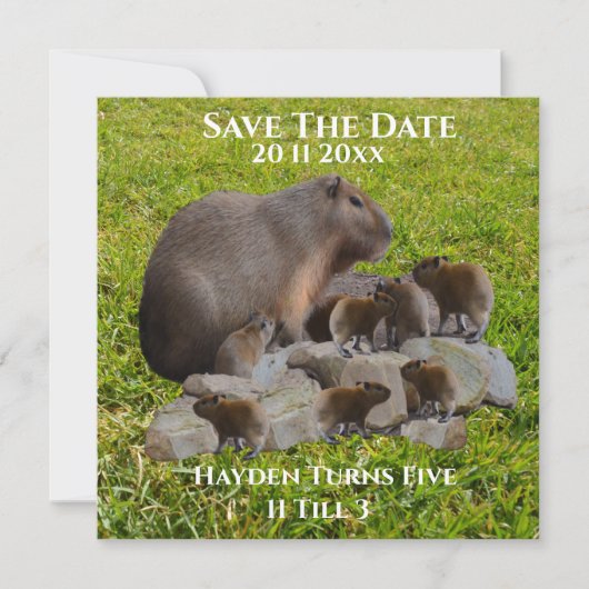 Mama en Baby Capybaras, red de datum Save The Date (Voorkant)