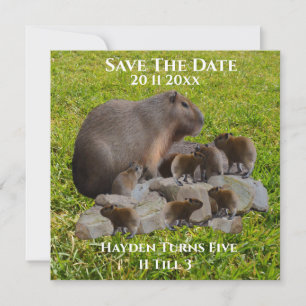 Mama en Baby Capybaras, red de datum Save The Date