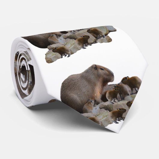 Mama en Baby Capybaras, Stropdas (Opgerold)