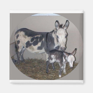 MAMA EN BABY DONKEY MAGNEET