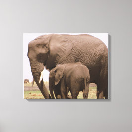 Mama en Baby Elephant Canvas Afdruk