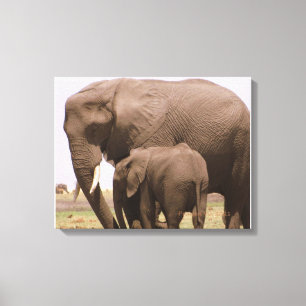 Mama en Baby Elephant Canvas Afdruk