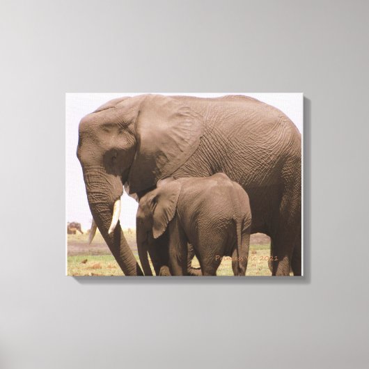 Mama en Baby Elephant Canvas Afdruk (Voorkant)