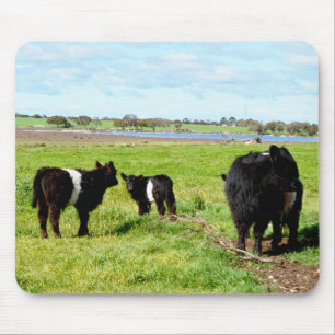 Mama en Baby Galloway Koeien, Mousepad Muismat
