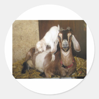 Mama en Baby Geit Ronde Sticker