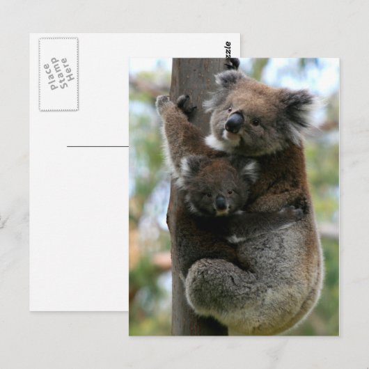Mama en Baby Koala Briefkaart (Voorkant / Achterkant)
