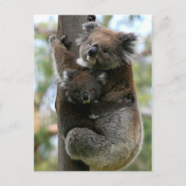 Mama en Baby Koala Briefkaart