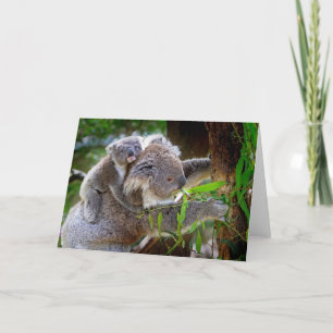 Mama en Baby Koalas Kaart