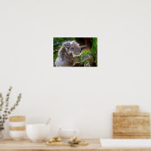Mama en Baby Koalas Poster (Keuken)