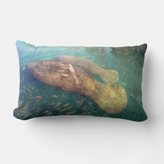Mama en Baby Manatee Pillow Kussen (Voorkant)
