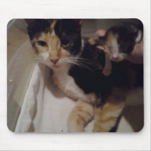 Mama en Baby Muismat