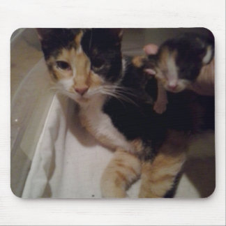 Mama en Baby Muismat