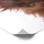 Mama en baby orang-oetan poster (Hoek)