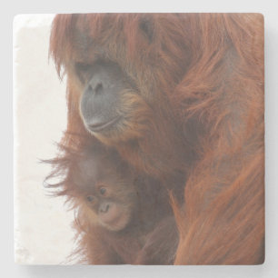 Mama en baby Orangutan Stenen Onderzetter