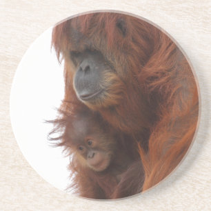 Mama en baby Orangutan Zandsteen Onderzetter
