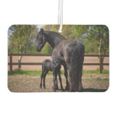 Mama en Baby Paard Luchtverfrisser (Achterkant)