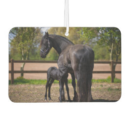 Mama en Baby Paard Luchtverfrisser
