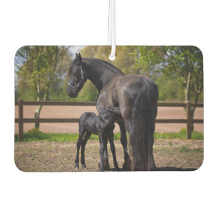 Mama en Baby Paard Luchtverfrisser